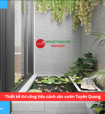 Thiết kế thi công tiểu cảnh sân vườn Tuyên Quang