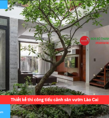 Thiết kế thi công tiểu cảnh sân vườn Lào Cai