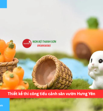 Thiết kế thi công tiểu cảnh sân vườn Hưng Yên