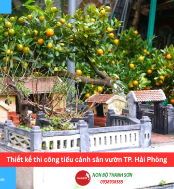 Thiết kế thi công tiểu cảnh sân vườn TP. Hải Phòng