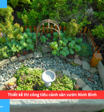 Thiết kế thi công tiểu cảnh sân vườn Ninh Bình