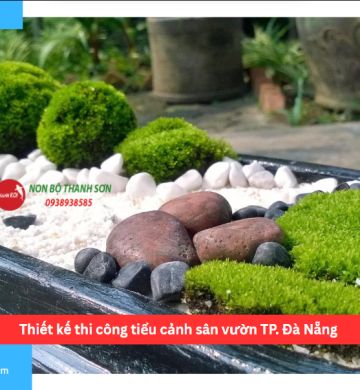 Thiết kế thi công tiểu cảnh sân vườn TP. Đà Nẵng