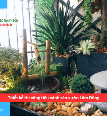 Thiết kế thi công tiểu cảnh sân vườn Lâm Đồng