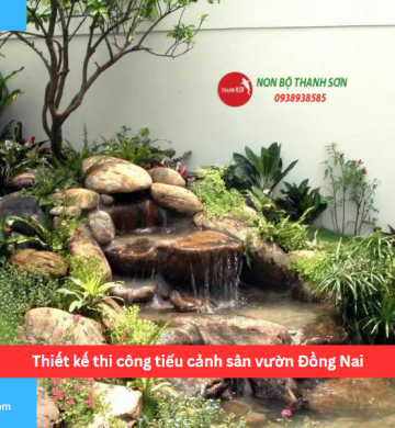 Thiết kế thi công tiểu cảnh sân vườn Đồng Nai