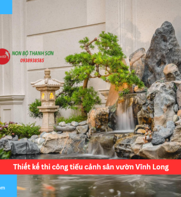 Thiết kế thi công tiểu cảnh sân vườn Vĩnh Long