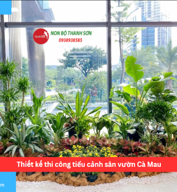 Thiết kế thi công tiểu cảnh sân vườn Cà Mau