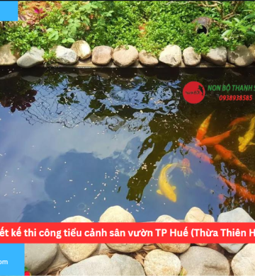 Thiết kế thi công tiểu cảnh sân vườn TP Huế (Thừa Thiên Huế)