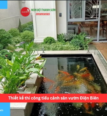 Thiết kế thi công tiểu cảnh sân vườn Điện Biên