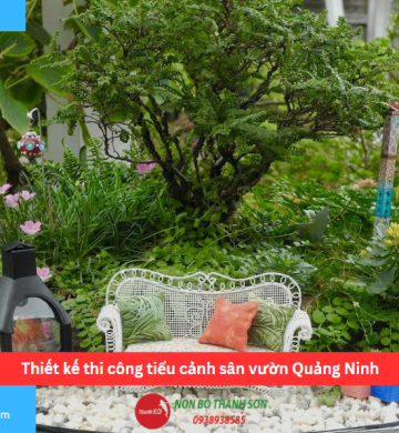 Thiết kế thi công tiểu cảnh sân vườn Quảng Ninh