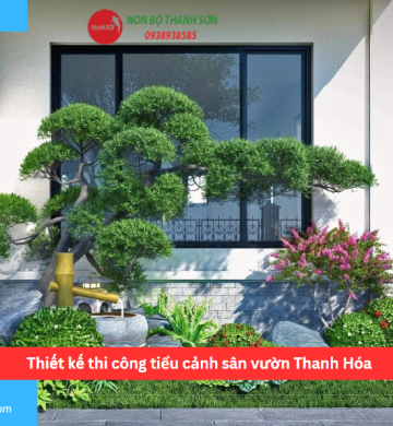Thiết kế thi công tiểu cảnh sân vườn Thanh Hóa