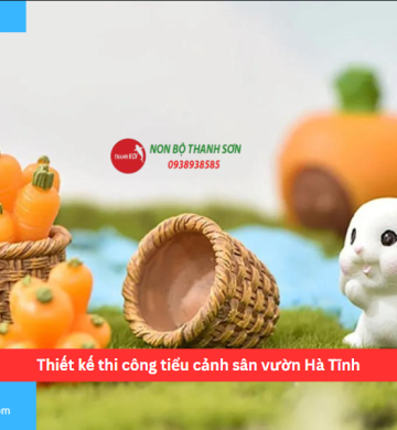 Thiết kế thi công tiểu cảnh sân vườn Hà Tĩnh