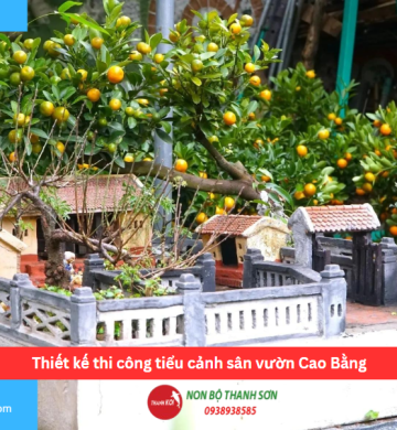 Thiết kế thi công tiểu cảnh sân vườn Cao Bằng