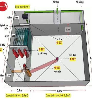 Bảng Báo Giá Thiết Kế Hồ Cá Koi: Hành Trình Tạo Nên Một Tác Phẩm Nghệ Thuật Trong Sân Vườn