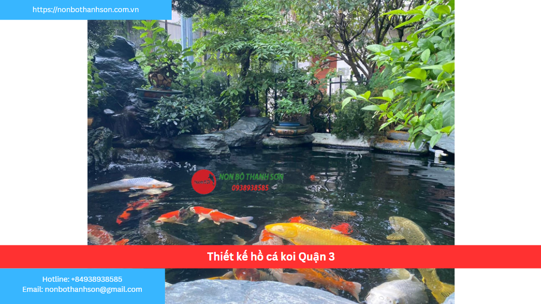 Quận 3 – Vị trí lý tưởng để kiến tạo hồ cá Koi