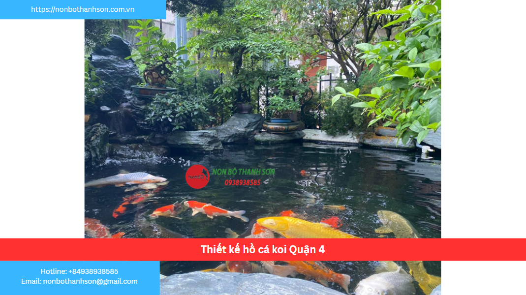 Quận 4 – Vị trí lý tưởng để kiến tạo hồ cá Koi