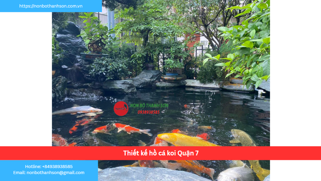Quận 7 – Vị trí lý tưởng để kiến tạo hồ cá Koi