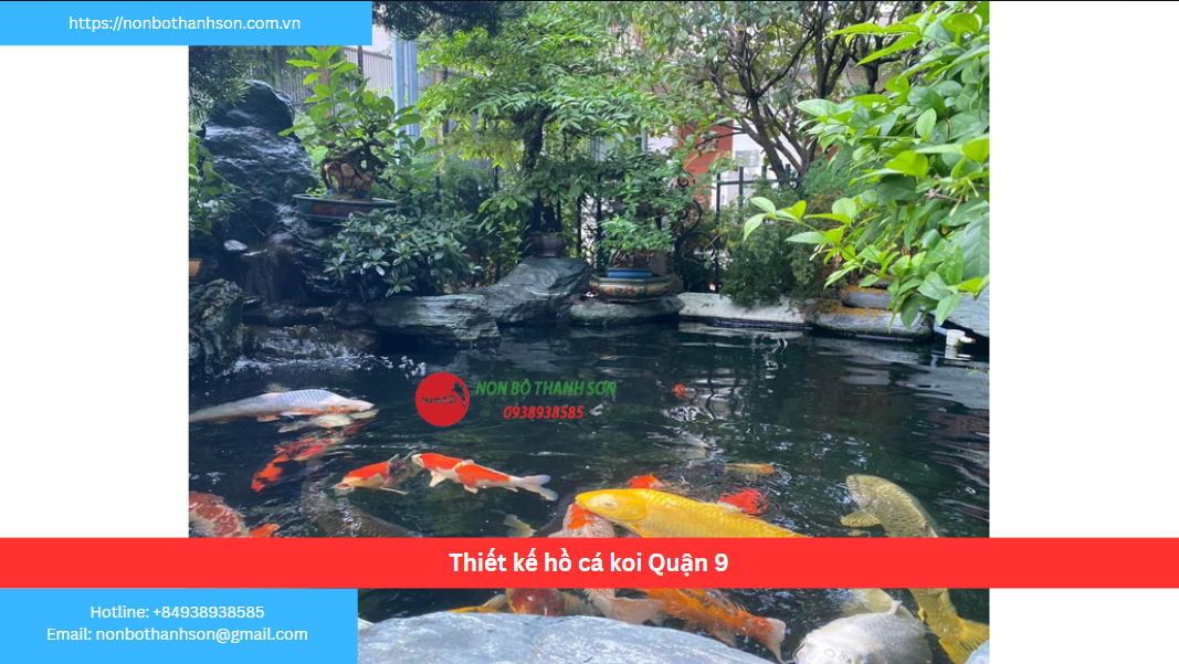 Quận 9 – Vị trí lý tưởng để kiến tạo hồ cá Koi