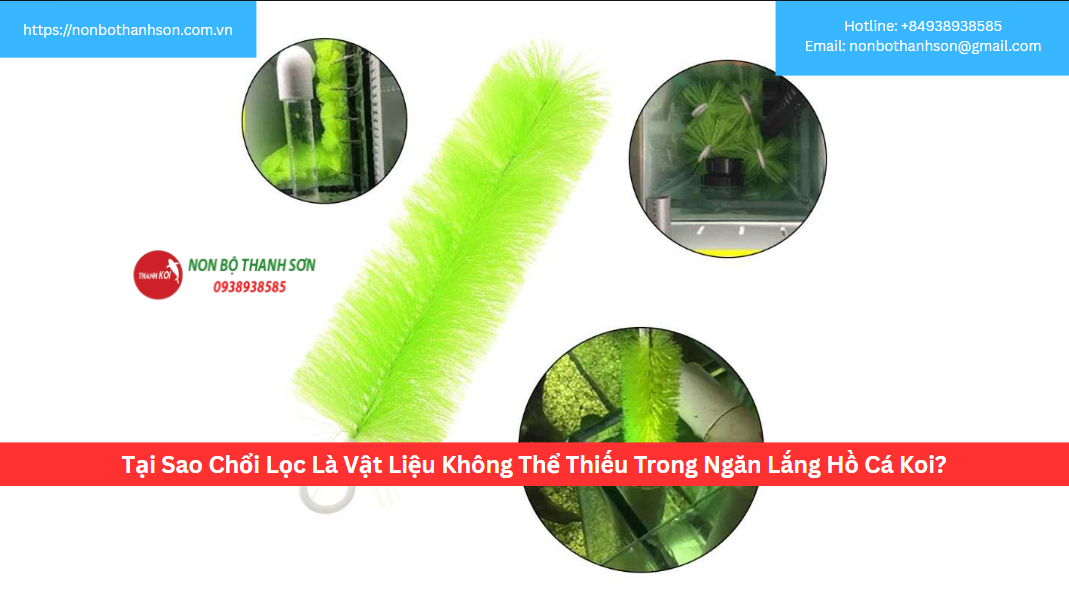 Tại Sao Chổi Lọc Là Vật Liệu Không Thể Thiếu Trong Ngăn Lắng Hồ Cá Koi?