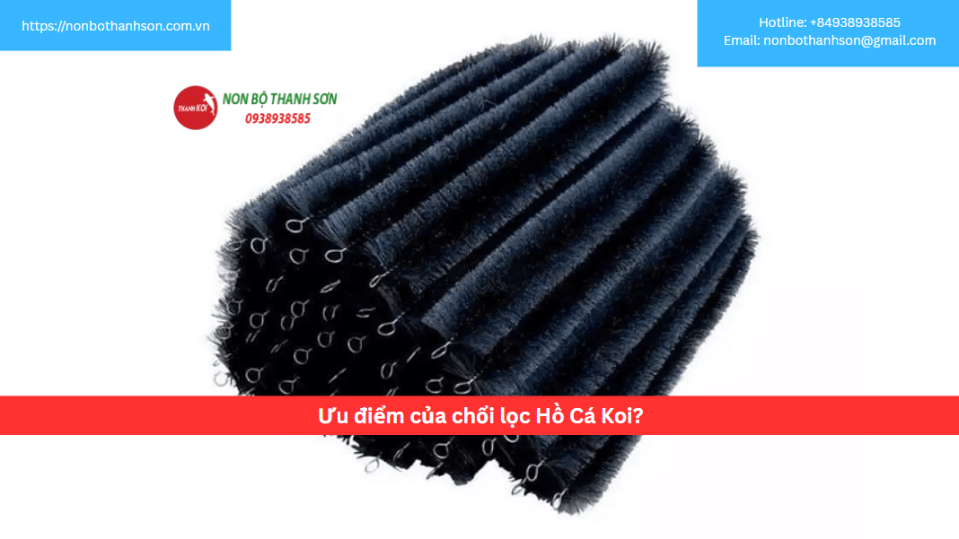 Ưu điểm của chổi lọc Hồ Cá Koi?