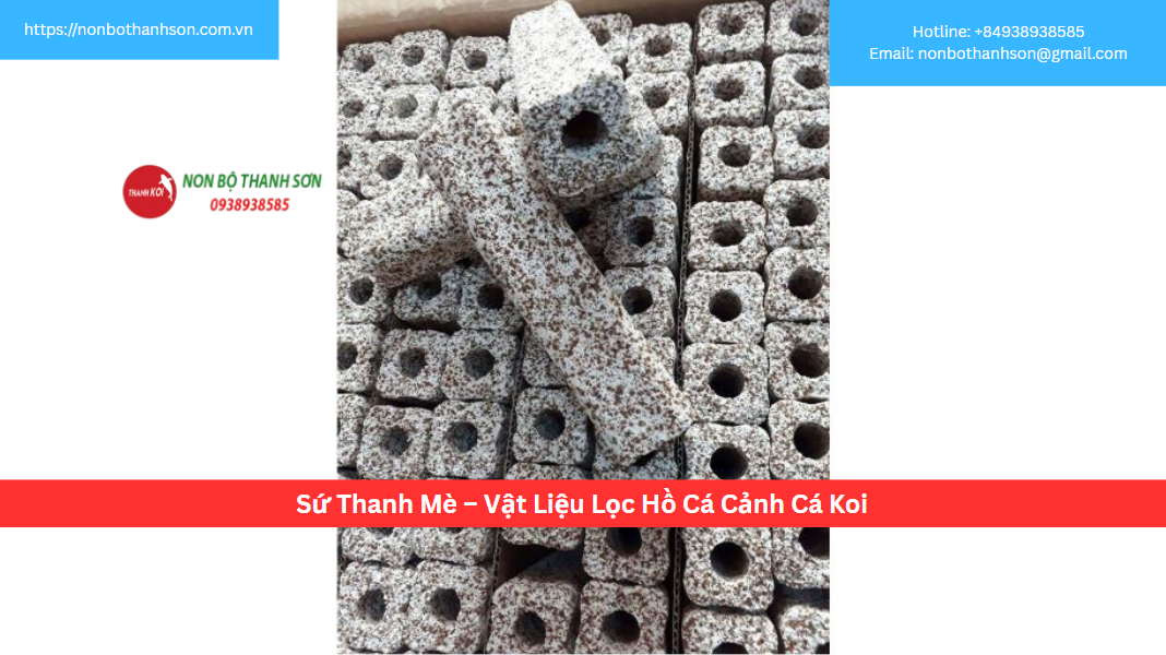 Sứ Thanh Mè: Vật Liệu Lọc Vi Sinh Cao Cấp Cho Hồ Cá Cảnh, Cá Koi | Non Bộ Thanh Sơn