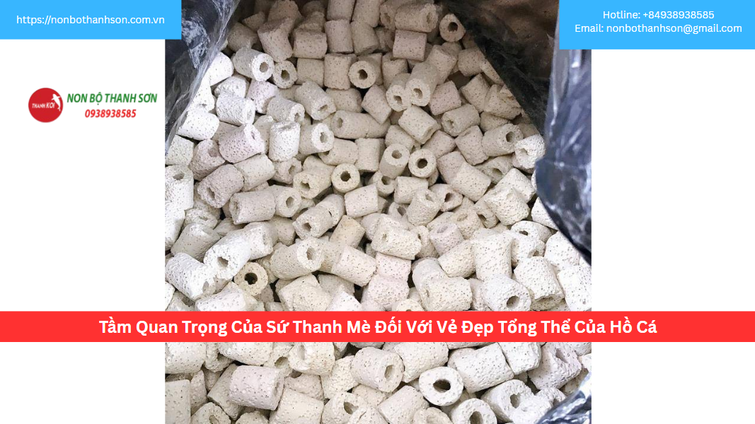 Tầm Quan Trọng Của Sứ Thanh Mè Đối Với Vẻ Đẹp Tổng Thể Của Hồ Cá