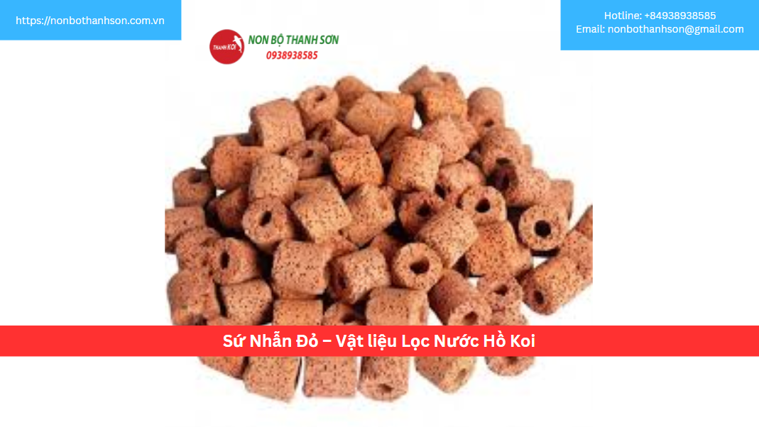 Sứ Nhẫn Đỏ: Vật Liệu Lọc Vi Sinh Bền Bỉ Cho Hồ Cá Koi | Non Bộ Thanh Sơn