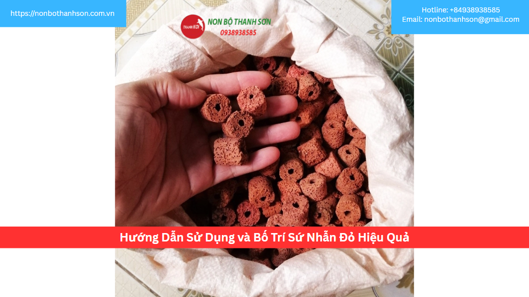Hướng Dẫn Sử Dụng và Bố Trí Sứ Nhẫn Đỏ Hiệu Quả