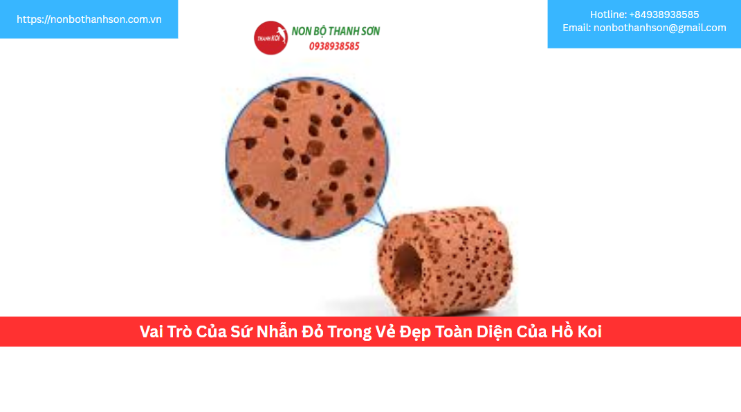 Vai Trò Của Sứ Nhẫn Đỏ Trong Vẻ Đẹp Toàn Diện Của Hồ Koi