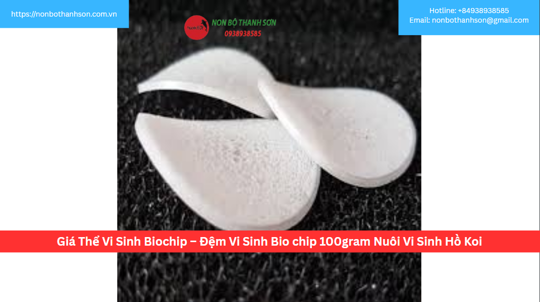 Giá Thể Vi Sinh Biochip – Đệm Vi Sinh Bio chip 100gram Nuôi Vi Sinh Hồ Koi