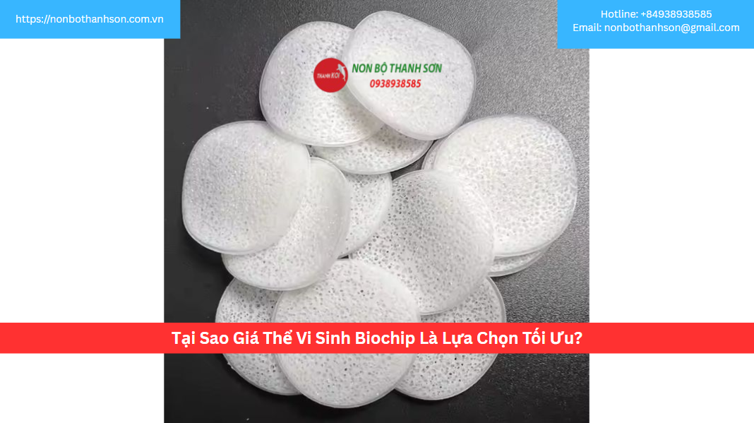 Tại Sao Giá Thể Vi Sinh Biochip Là Lựa Chọn Tối Ưu?