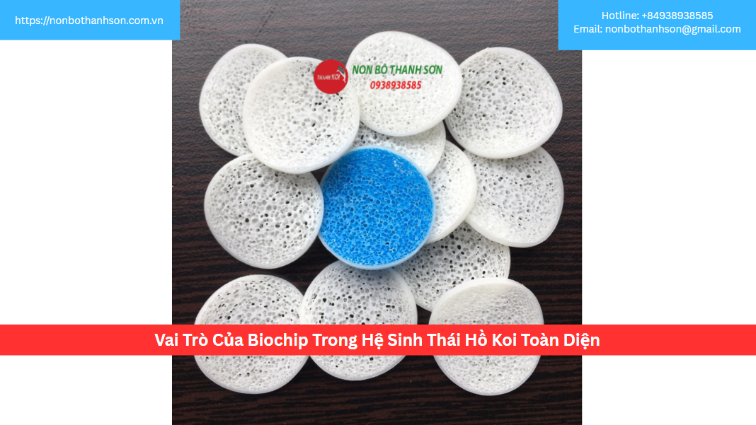Vai Trò Của Biochip Trong Hệ Sinh Thái Hồ Koi Toàn Diện