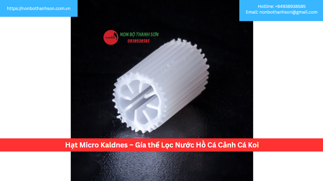 Hạt Micro Kaldness: Giá Thể Lọc Di Động Tối Ưu Cho Hồ Cá Koi | Non Bộ Thanh Sơn