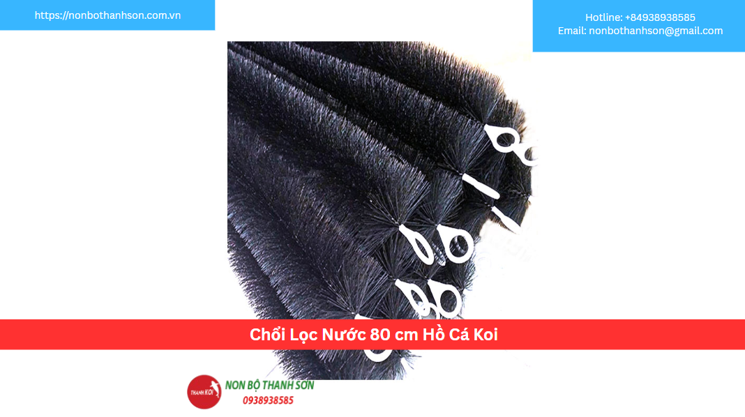 Chổi Lọc Hồ Cá Koi 80cm – Giải Pháp Tin Cậy Cho Hệ Thống Lọc Cỡ Trung