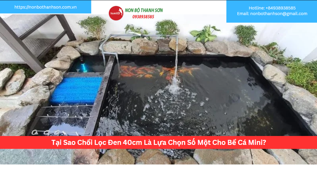 Tại Sao Chổi Lọc Đen 40cm Là Lựa Chọn Số Một Cho Bể Cá Mini?
