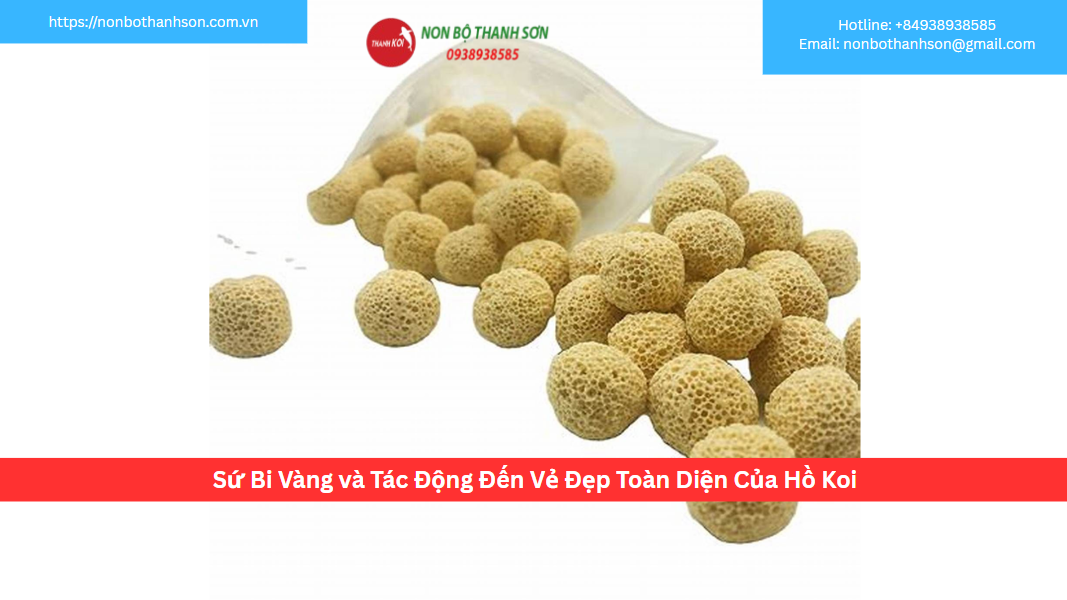 Sứ Bi Vàng và Tác Động Đến Vẻ Đẹp Toàn Diện Của Hồ Koi
