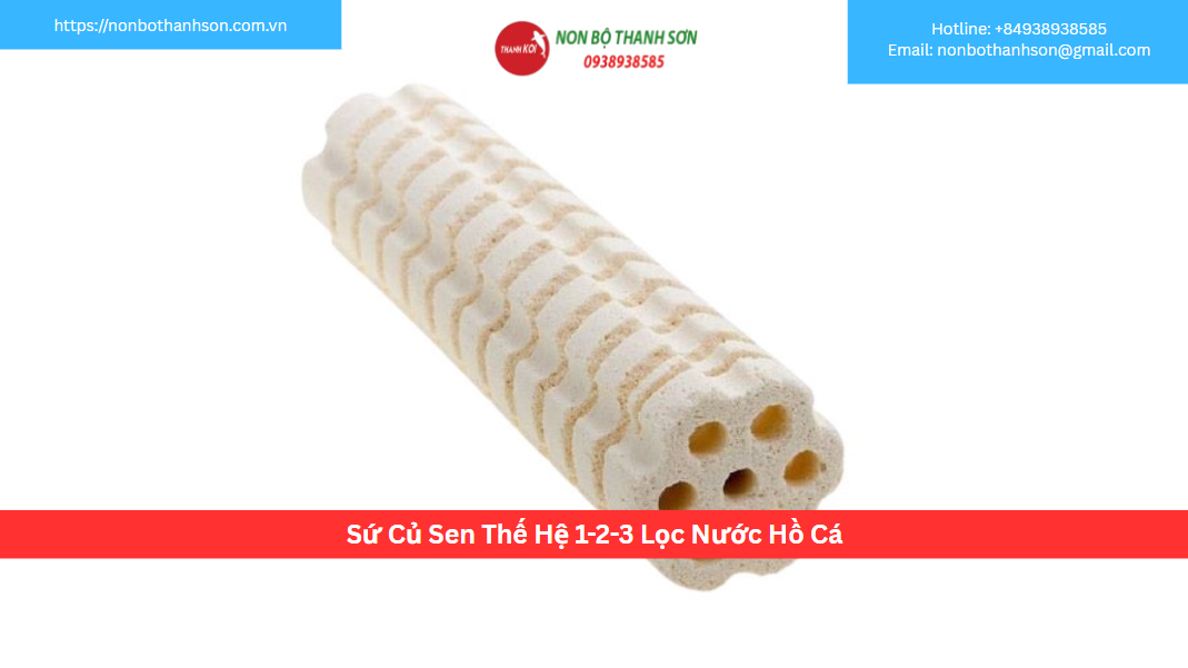 Sứ Củ Sen Thế Hệ 1-2-3 – Hành Trình Cải Tiến Vật Liệu Lọc Nước Hồ Cá