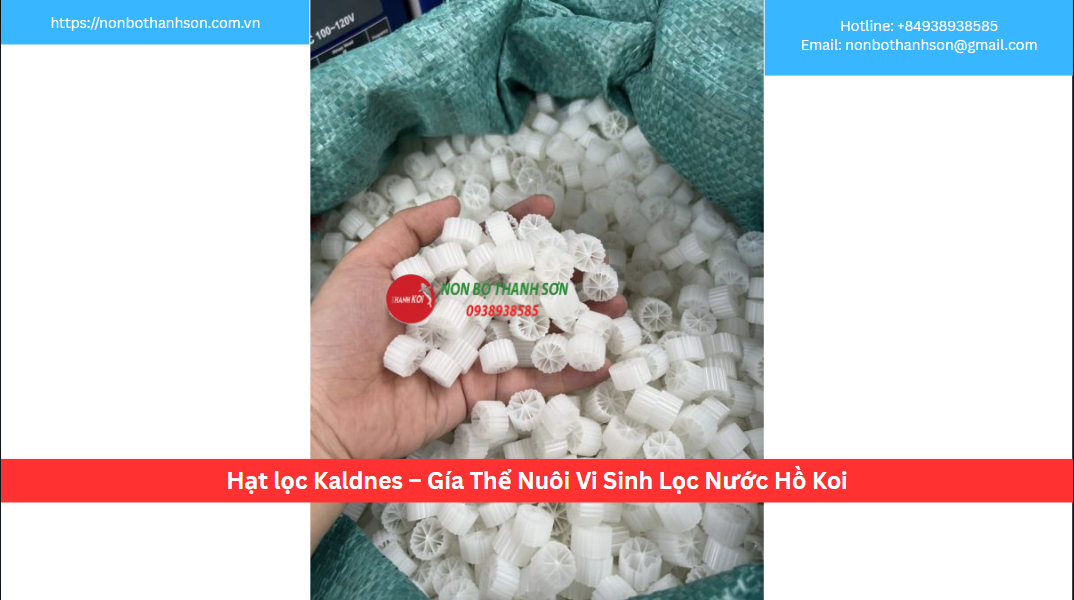 Hạt Lọc Kaldnes – Cuộc Cách Mạng Mang Tên “Lọc Động” Cho Hồ Cá Koi