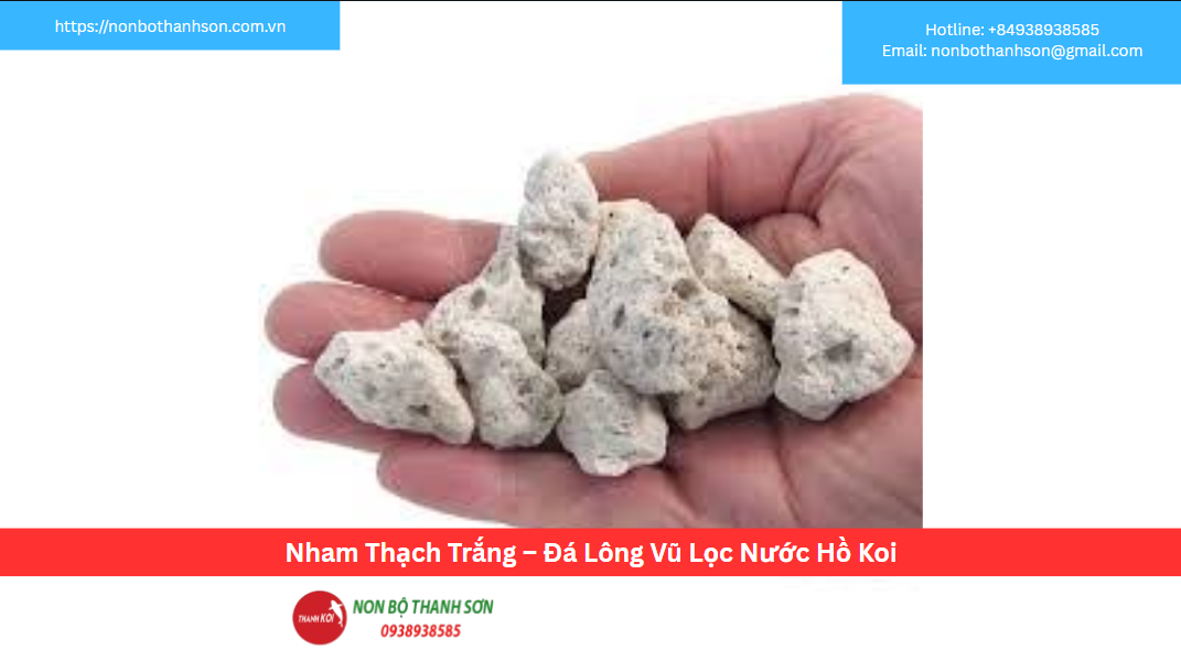 Nham Thạch Trắng (Đá Lông Vũ): Vật Liệu Lọc Siêu Nhẹ, Hiệu Quả Cho Hồ Koi | Non Bộ Thanh Sơn