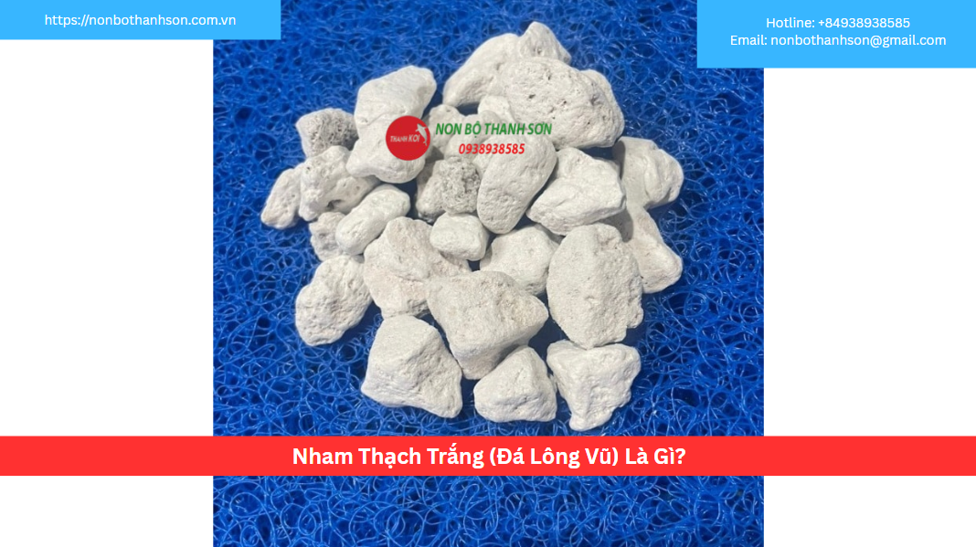 Nham Thạch Trắng (Đá Lông Vũ) Là Gì?