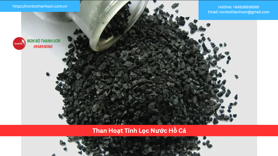 Than Hoạt Tính – “Phù Thủy Hóa Học” Cho Làn Nước Hồ Cá Tinh Khiết