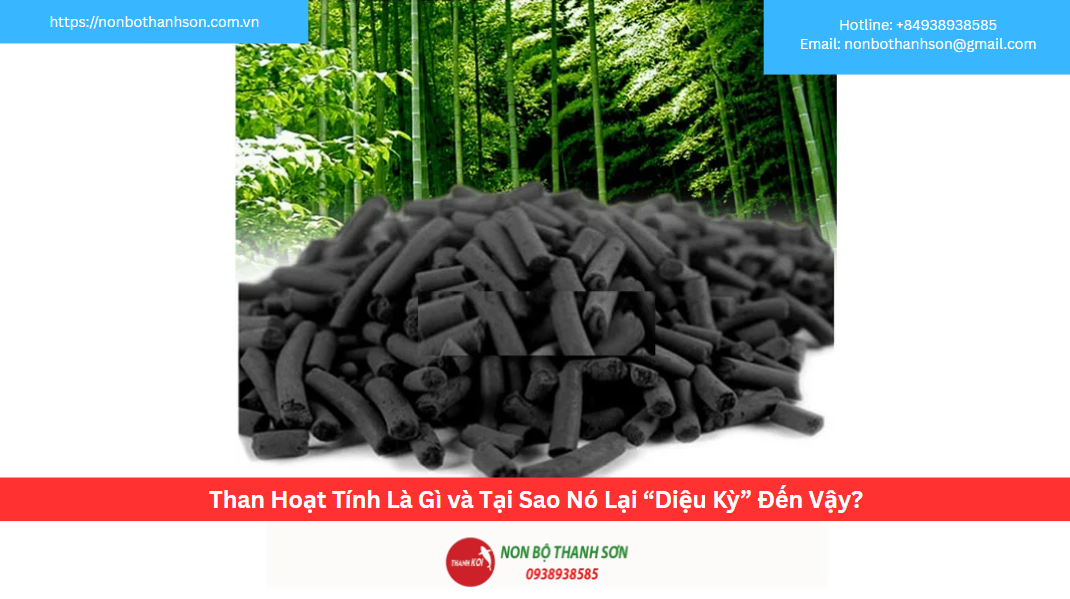 Than Hoạt Tính Là Gì và Tại Sao Nó Lại “Diệu Kỳ” Đến Vậy?
