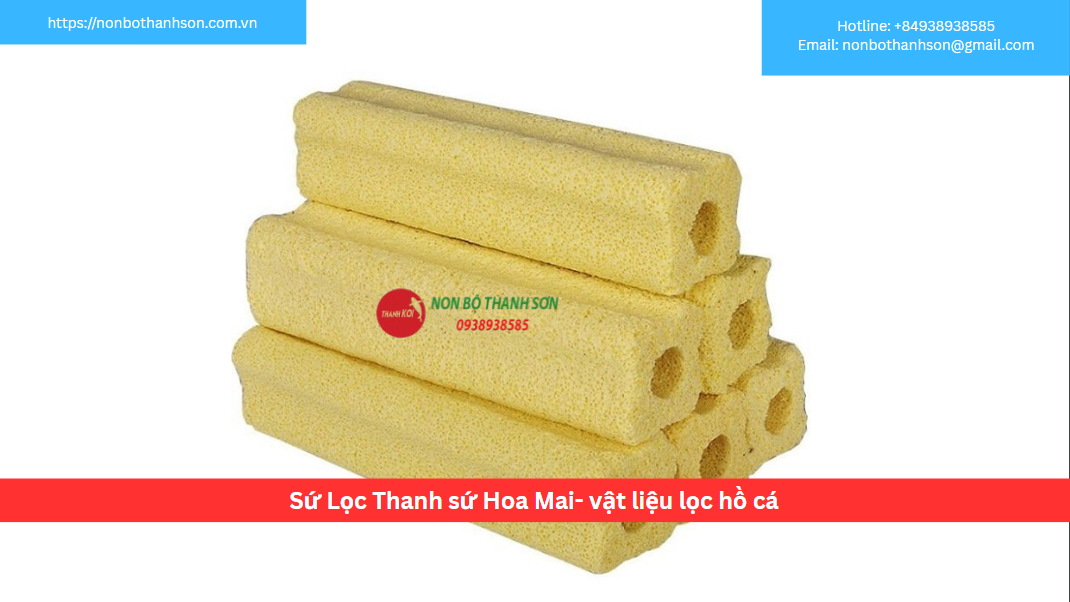 Sứ Lọc Thanh Hoa Mai: Vật Liệu Lọc Vi Sinh Đột Phá Cho Hồ Koi | Non Bộ Thanh SơnSứ Lọc Thanh Hoa Mai: Vật Liệu Lọc Vi Sinh Đột Phá Cho Hồ Koi | Non Bộ Thanh Sơn