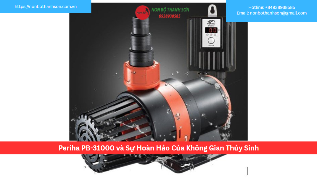 Periha PB-31000 và Sự Hoàn Hảo Của Không Gian Thủy Sinh