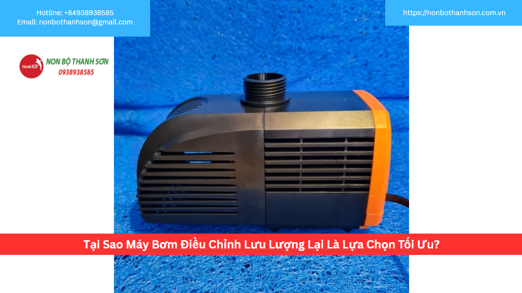 Tại Sao Máy Bơm Điều Chỉnh Lưu Lượng Lại Là Lựa Chọn Tối Ưu?