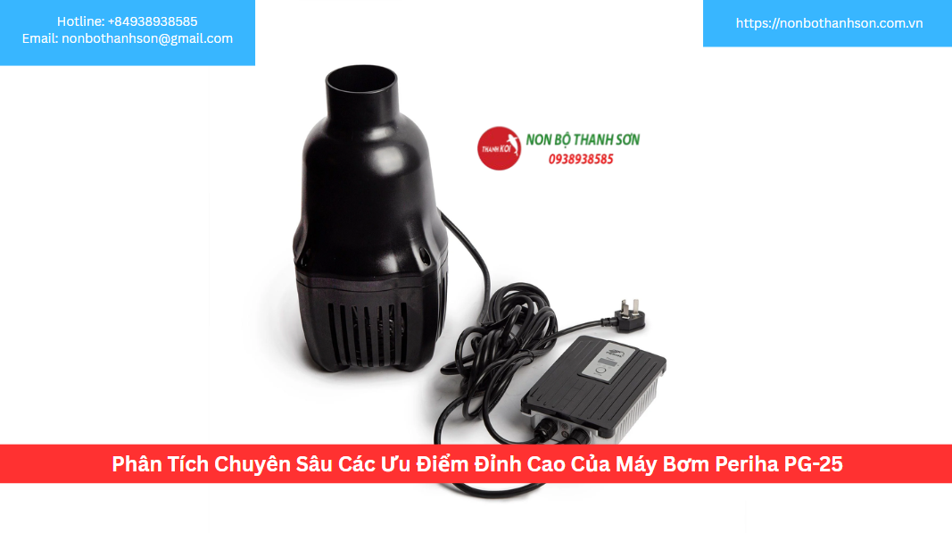 Phân Tích Chuyên Sâu Các Ưu Điểm Đỉnh Cao Của Máy Bơm Periha PG-25