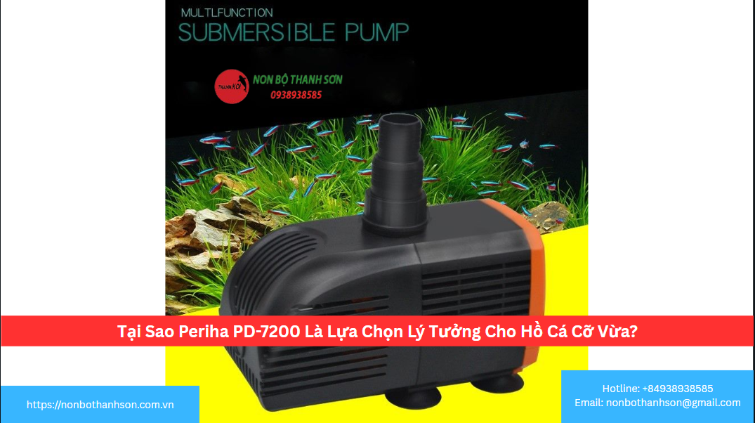 Tại Sao Periha PD-7200 Là Lựa Chọn Lý Tưởng Cho Hồ Cá Cỡ Vừa?