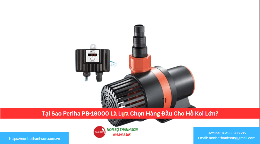 Tại Sao Periha PB-18000 Là Lựa Chọn Hàng Đầu Cho Hồ Koi Lớn?