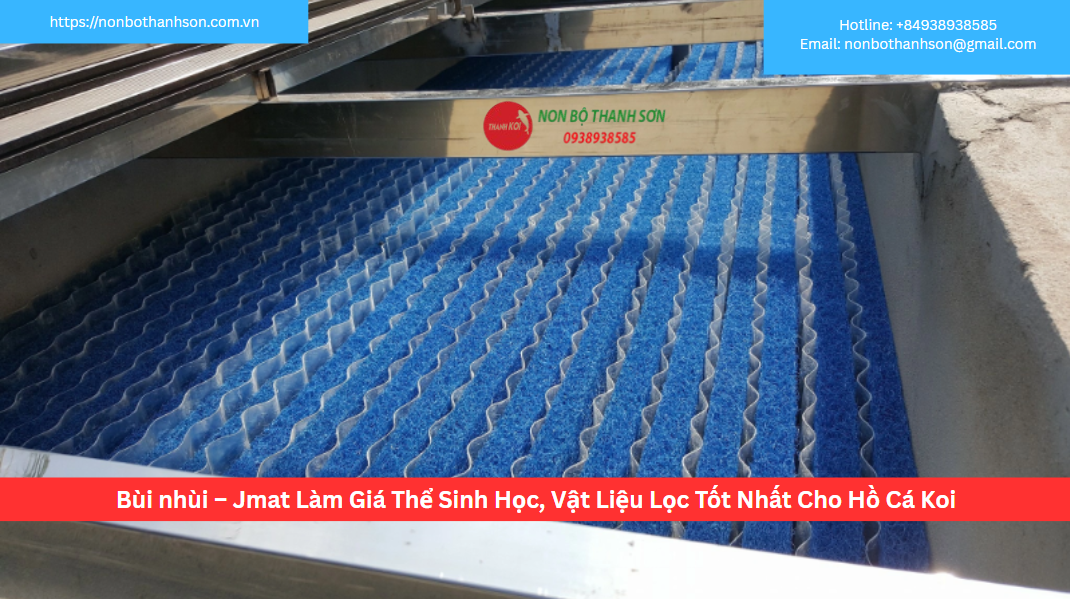 Bùi Nhùi (Jmat) – Nền Tảng Của Một Hệ Thống Lọc Hoàn Hảo