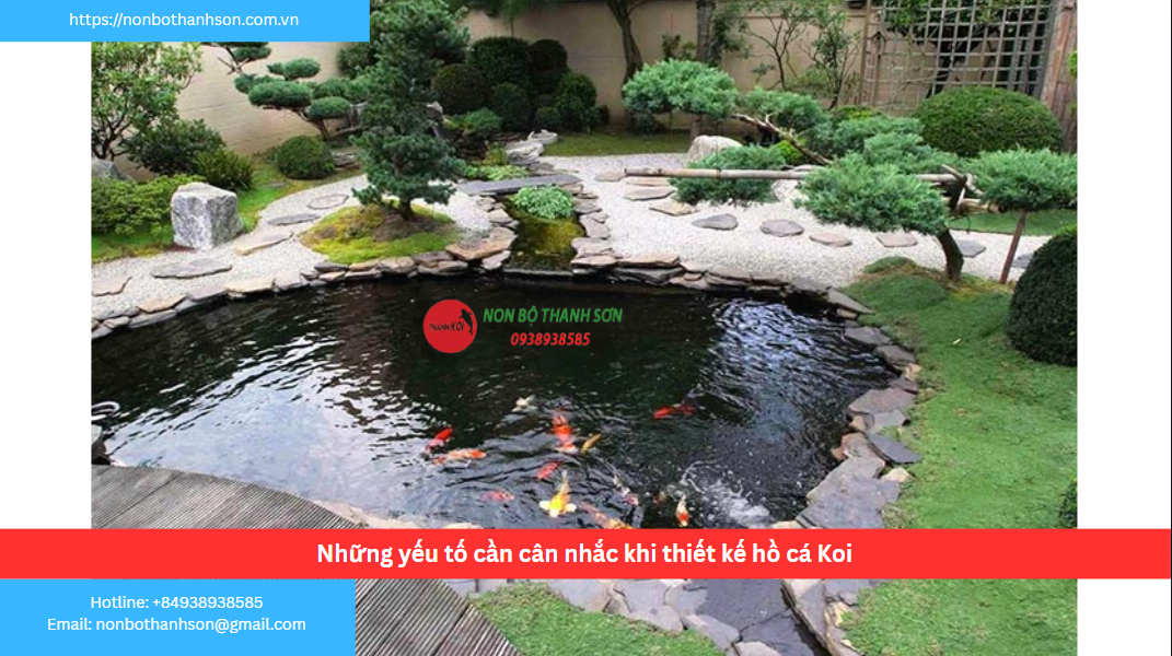 Những yếu tố cần cân nhắc khi thiết kế hồ cá Koi tại Huyện Hóc Môn