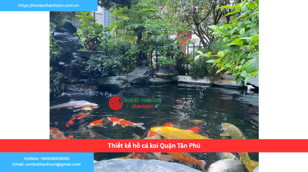 Quận Tân Phú – Vị trí lý tưởng để kiến tạo hồ cá Koi